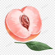 WWW,243se·COM网站APPAPP应用